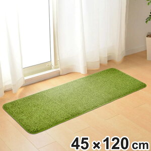 O Ő 45×120cm i ŐO J[ybg O~ p  ŃO  rO qǂ E^ zbgJ[ybgΉ ~߉H 􂢉\ j