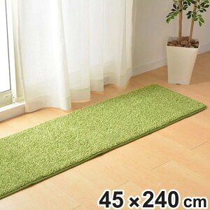 O Ő 45×240cm i ŐO J[ybg O~ p  ŃO  rO qǂ E^ zbgJ[ybgΉ ~߉H 􂢉\ j