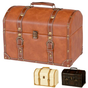 gN AeB[N [{bNX `FX^[ i [P[X t^t  g  P[X 34cm s20.5cm 27cm fBXvC [  obO AeB[N g