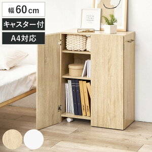 {I t 60cm B LX^[t I i bN I A4Ή Ăh~ 򉻖h~ e wʉ [ Oi i` zCg Vv j