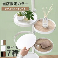 【レビュー特典付き】 突っ張りポールラック 丸型 角型 トレイ 高さ調整 見せる収納 （ 突っ張りラック …
