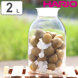 nI ۑт 2L KX̎dۑт i HARIO ϔMKX KX  dqWΉ H@Ή MOK { ʎт ۑe ۑr т r ~т ~r KXe 