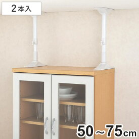 家具転倒防止 つっぱり棒 耐震ポール Lサイズ 50cm〜75cm 伸縮 （ 突っ張り棒 つっぱり 地震ポール 震災 地震対策 防災 賃貸 工具不要 強力 簡単 設置 取り付け 伸縮式 食器棚 本棚 リビング 寝室 安心 家具 転倒防止 地震 天井 ）