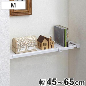 ςI ˂ςtbgXI 12cm M tF45`65cm i ˂[ [bN ˂I Lk I X ^ It s11.5 [ [ ς_ fBXvCbN 