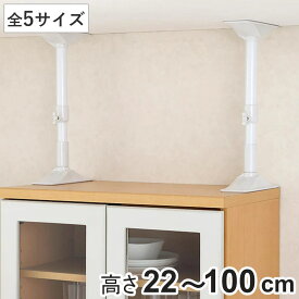 家具転倒防止 つっぱり棒 耐震ポール 超ミニ ミニ S L LL 伸縮 （ 突っ張り棒 つっぱり 地震ポール 震災 地震対策 防災 賃貸 工具不要 強力 簡単 設置 取り付け 伸縮式 食器棚 本棚 リビング 寝室 安心 家具 転倒防止 地震 天井 ）