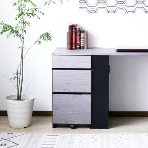 fXNS 3i LX^[t 40cm i S TChS o [ fXN i TCh`FXg tXCh ؐ e Lrlbg TChLrlbg  ސ 