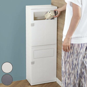 S~ XCO 34×s21cm i  ݔ 2  XCOW ӂt ܂Ȃ s21 X Vv ȃXy[X LX^[t S~ [ ȒPgݗ Lb` 