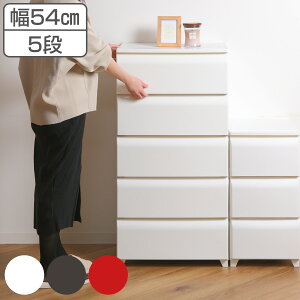 `FXg 5i 54cm m[fX Ch vX`bN i [P[X o rt [ ^X zRɂ ߑP[X [{bNX { vX`bN`FXg [`FXg 