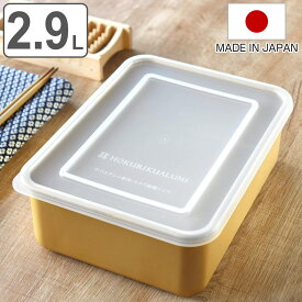 保存容器 2.9L 小伝具 硫酸アルマイト加工 アルミ角容器5号 （ 日本製 アルミニウム 冷凍 冷蔵 保存 容器 冷凍保存 冷蔵保存 食品保存 2900ml 角型容器 蓋付き 下ごしらえ ストック 長方形 角型 ）