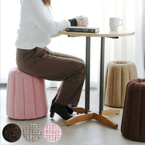 Xc[ Jk ʍ40.5cm i ֎q Ibg} RpNg [`FA `FA CX 킢 XC[c َq ݃J[ CeA j