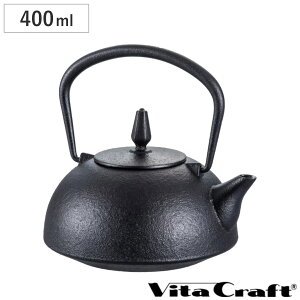 南部鉄 急須 400ml 華 はる ( 鉄瓶 Vita Craft 南部鉄器 日本製 ティーポット ティー用品 お茶用品 茶道具 )