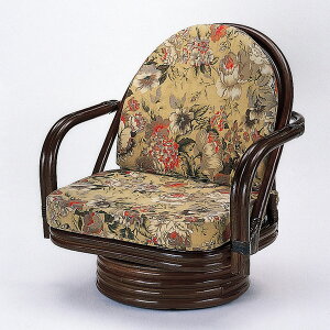 ]֎q [^Cv ^`FA ىƋ ʍ25cm i  ֎q CX AWA j