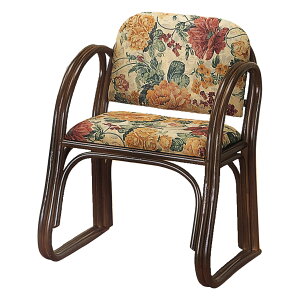  ֎q A[`FA nC^Cv ʍ43cm i  ֎q ^`FA ^ ֎q ِ֎q `FA p[\i`FA a_ a AWA I|t j