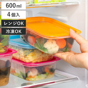 �ۑ��e�� �y����p�b�N �p�^ 600ml 4�F�g �i �e�� �t�[�h�P�[�X �d�q�����W�Ή� �t�^�������܂� ���{�� �Ⓚ �① �􂢂₷�� �t�[�h�R���e�i �v���X�`�b�N �����WOK ���u�� ����� ������ ��