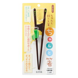 楽天市場 矯正箸 小学生の通販
