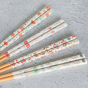  23cm KAKEHASHI NATURA t[Y p ؐ VR { i   l aH ͂  ͂  j 킢 jp j