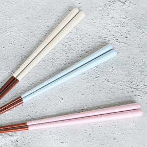  23cm KAKEHASHI NATURA Axj[ p ؐ VR { i   l aH ͂  ͂  j 킢 jp j