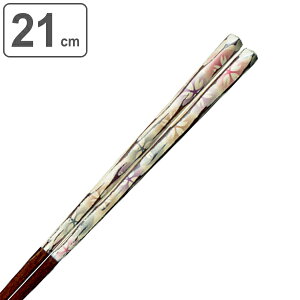  21cm v~AAC GKgC g  ؐ VR { i  ͂   h   a ͂ nV h蔢 l Jg[ aH h j