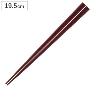  19.5cm REW i  VR ͂  p q qǂ LbY { {[_[ aH Jg[ ͂ nV  Vv  킢 j