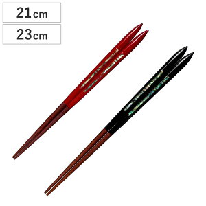  21cm 23cm v~AAC S[WXC L ؐ VR ъL { i  ͂ j  Jg[ aH h ׍H ዷh ͂ nV h蔢 l  a   