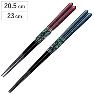  20.5cm 23cm v~AAC S[WXC R ؐ VR ъL { i  ͂  j  Jg[ aH h ׍H ዷh ͂ nV h蔢 ~ l 