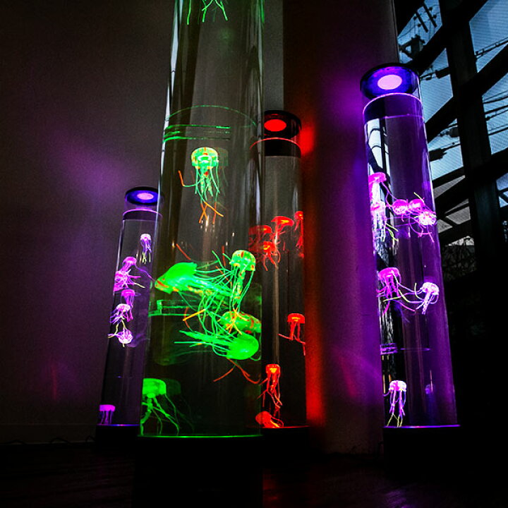 楽天市場 照明 アクアロングチューブ クラゲ 送料無料 くらげ 海月 インテリア おしゃれ 癒し リラクゼーション 観賞用 アクアリウム 寝室 間接照明 オブジェ 置物 リビングート 楽天市場店