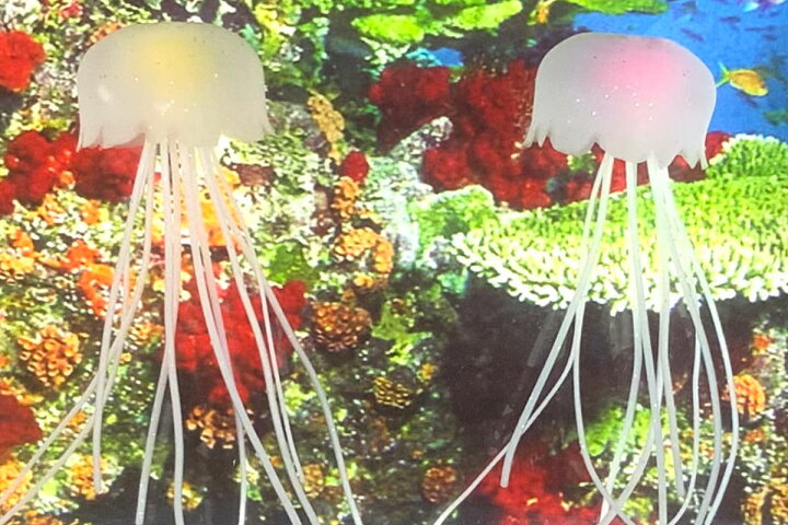 楽天市場 間接照明 アクアリウムクラゲ ワイド 送料無料 照明 インテリア おしゃれ くらげ 海月 癒し リラクゼーション 観賞用 アクアリウム 寝室 オブジェ 置物 リビングート 楽天市場店 楽天市場 間接照明 アクアリウムクラゲ ワイド 送料無料 照明 インテリア おしゃれ くらげ 海月 癒し リラクゼーション 観賞用 アクアリウム 寝室 オブジェ 置物 リビングート 楽天市場店