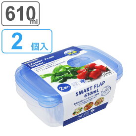 保存容器 610ml スマートフラップ KB 角型 M 2個入 （ 日本製 抗菌 プラスチック フードコンテナ 冷凍 冷蔵 保存 容器 プラスチック容器 食品保存容器 抗菌加工 Ag+ 目盛り付き 電子レンジ対応 エアー弁 作り置き ）