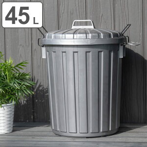 S~ 45L X[p[J ی^ i ݔ 45bg Op e y ӂt  gbVJ { 3Nۏ 傫 Op O Vo[ y JX悯  j
