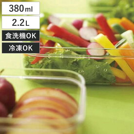 保存容器 マイクロクリア フードケース 380ml 2.2L SS LL クリア プラスチック製 （ プラスチック保存容器 フードコンテナ 食洗機対応 冷蔵 冷凍 日本製 透明 クリアタイプ 作り置き スタッキング キッチン用品 食品保存 保存ケース ）