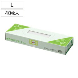 保存袋 Lサイズ 40枚入り エンボス加工 （ ポリ袋 ビニール袋 保存用ポリ袋 半透明 キッチンポリ袋 家庭用ポリ袋 ビニル袋 箱入り 袋 ふくろ 長方形 半透明袋 消耗品 日用品 キッチン消耗品 ）