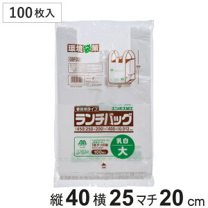 S~ 100 oCI}X `obO i rj[ c40×25cm gɂ t }`t JTJT W | Օi pi Lb`pi j