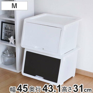 [P[X t^t bL|bh M [{bNX OJ tbv{bNX { i [ t^ t ӂ P[X tbv 30×s43.1×31 45 X^bLO ςݏd m ߗ v