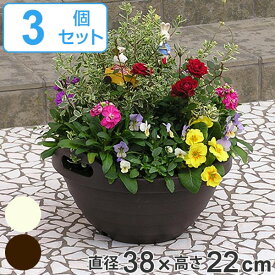 楽天市場 寄せ植え セット プランター 植木鉢 プランター ガーデニング 農業 花 ガーデン Diyの通販