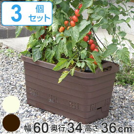 楽天市場 ミニトマト プランターの通販