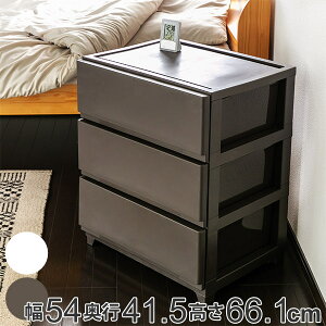 `FXg 54×s41.5×66.1cm 3i Ch i  vX`bN X`FXg X ^X o   vX`bN`FXg [P[X ߗގ[ rO [ { 