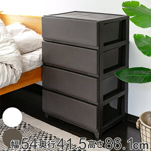 `FXg 54×s41.5×86.1cm 4i Ch i  vX`bN X`FXg X ^X o   vX`bN`FXg [P[X ߗގ[ rO [ { 