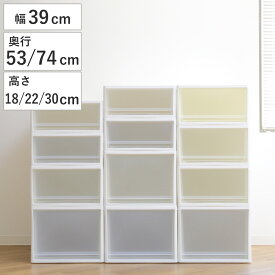 収納ケース ストラ 幅39cm 押入れ クローゼット プラスチック 引き出し 日本製 （ 収納ボックス 収納 ケース ボックス 衣装ケース プラスチック製 洋服 衣類 収納用品 押入れ収納 ）