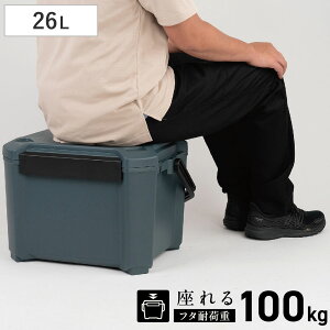 �N�[���[�{�b�N�X 26L COREFLUX ����� �ω׏d100kg �i �ۗ� �N�[���[BOX �ۗ�{�b�N�X �N�[���[�o�b�O �①�{�b�N�X 26���b�g�� �N�[���[ �{�b�N�X BOX �L�����v �A�E�g�h�A �n���h�� ������t�� �j