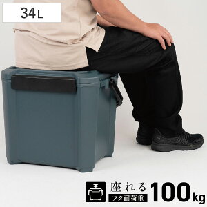 �N�[���[�{�b�N�X 34L COREFLUX ����� �ω׏d100kg �i �ۗ� �N�[���[BOX �ۗ�{�b�N�X �N�[���[�o�b�O �①�{�b�N�X 34���b�g�� �N�[���[ �{�b�N�X BOX �L�����v �A�E�g�h�A �n���h�� ������t�� �j