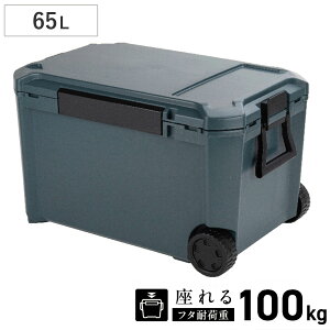 N[[{bNX 65L COREFLUX  ω׏d100kg i ۗ N[[BOX ۗ{bNX N[[obO ①{bNX 65bg N[[ {bNX BOX Lv AEghA nh t L