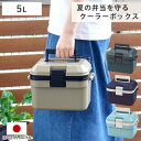 クーラーボックス 5L 小型 アイセル5 ハードタイプ （ 保冷 クーラーBOX 保冷ボックス クーラーバッグ 冷蔵ボックス 5リットル お弁当箱 クーラー ボックス BOX キャンプ アウトドア ハンドル付き 子供 野球 サッカー スポ少 ）