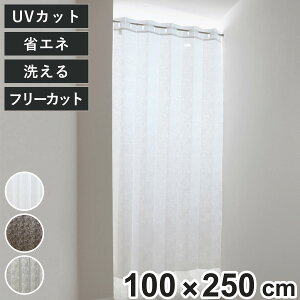 AR[fBIJ[e AxXN t[Jbg 100×250cm UVJbg i Ԏd؂ J[e i 􂦂 1 EHbVu AR[fBI Jbgł ȈՃhA O΍ ԕ j