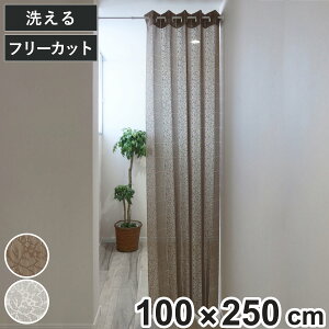 AR[fBIJ[e ԕ t[Jbg 100×250cm i Ԏd؂ J[e i 􂦂 1 EHbVu AR[fBI Jbgł ȈՃhA t[ j
