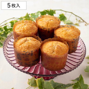 JbvP[L^ 7cm k  5 i I[uΉ JbvP[L P[L ^ ٓ v`t[^ }h[k  َq ĝ Ăَq كObY k j