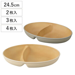 `v[g earth color R  2 3 4 i BPAt[ dqWΉ H@Ή { v[g M M 24.5cm  킢 Vv d؂M `M v[g y