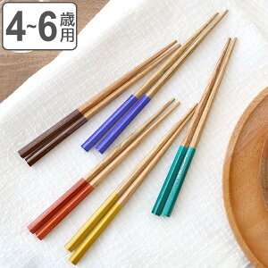  qp 16cm 4`6Ηp I VR Rh { i  ͂ ܊p ؐ 4 5 6 c ͂ ܊p` qǂ LbY qpH j