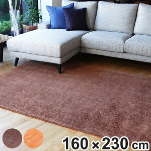 ���O ��D�� �_�C�i�X�e�B�[�A���e�B�[�N DYNASTY ANTIQUE 160×230cm �z�b�g�J�[�y�b�g�Ή� �i �n���h���[�� ���O�}�b�g �J�[�y�b�g ���イ���� ���g�Ή� �O�~ ���g ���g�[ �A�N�Z���g���O �ϋv�� 