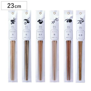  tetoca egJ i  VR { ׂ~߉H ͂ ͂ nV 23cm  킢 ݂낤dグ p` Y v[g Mtg pbP[W j