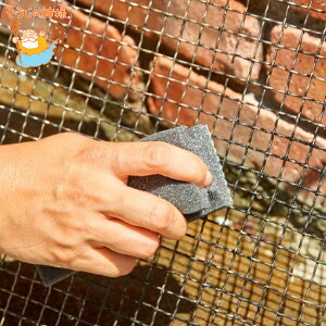 uV ̐_l Jb`R`uVGݗp | i Lb` |pi RQ   Ƃ łt O  o[xL[ AEghA փ^C \uV | j